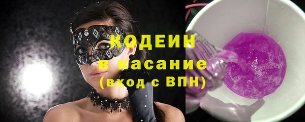 молекула духа Арсеньев