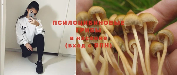 гашиш Аркадак
