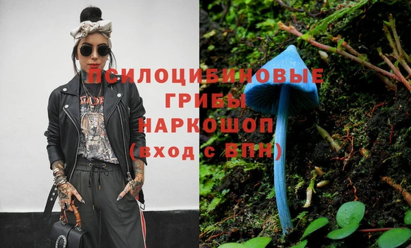 молекула духа Арсеньев
