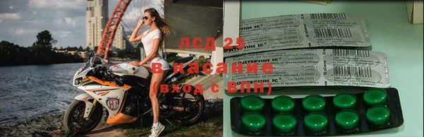 молекула духа Арсеньев