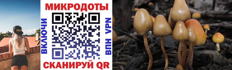 Галлюциногенные грибы GOLDEN TEACHER  kraken tor  Белебей 